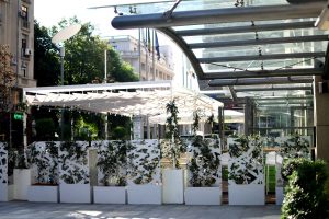 Interviu Restocracy cu George Baciu, Head Chef-ul Caffe Citta