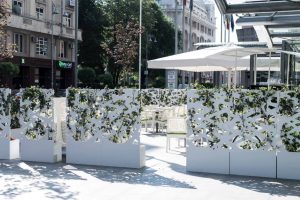 Interviu Restocracy cu George Baciu, Head Chef-ul Caffe Citta