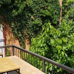 BITE, restaurant boem cu mai multe terase in strada Matasari din Bucuresti