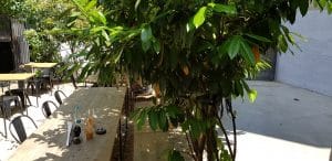 BITE, restaurant boem cu mai multe terase in strada Matasari din Bucuresti