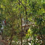 BITE, restaurant boem cu mai multe terase in strada Matasari din Bucuresti