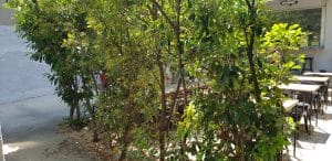 BITE, restaurant boem cu mai multe terase in strada Matasari din Bucuresti