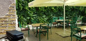 Gastronomika, restaurant cu bucatarie Adriatica multicuisine in Bucuresti