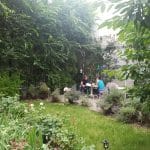 Green Tea, ceainarie boema in zona Pietei Traian din Bucuresti