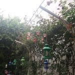 Green Tea, ceainarie boema in zona Pietei Traian din Bucuresti