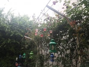 Green Tea, ceainarie boema in zona Pietei Traian din Bucuresti