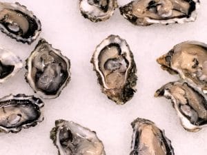 Interviu Restocracy cu Nicolai Schleifer, Executive Cheful hotelului Radisson Blu