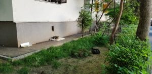 Strada Constantin Aricescu de la Piata Floreasca, cu Atypic, MA Bistro si 2 Minutes