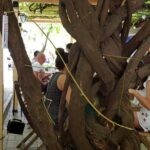 Suento by Gram Bistro 10