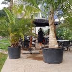 ARC Bakery, bistrou, patiserie si brutarie la Arcul de Triumf