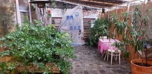 Amada, restaurant pescaresc in zona Piata Rosetti din Bucuresti