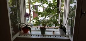 Arome, bistrou vegetarian boem in Luigi Cazzavillan