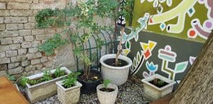 Arome, bistrou vegetarian boem in Luigi Cazzavillan