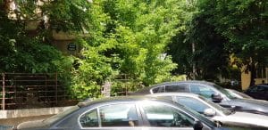 Casa Jienilor din strada Fainari, restaurant traditional romanesc