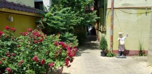 Chong Qing, restaurant chinezesc in Pache Protopopescu la Foisorul de Foc