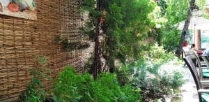 La Ceaunu Crapat, restaurant traditional romanesc in Thomas Masaryk