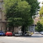 Pache Protopopescu la Traian, cu restaurantele La Conac, Taverna Zorba, Chong Qing