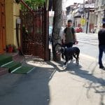 Pache Protopopescu la Traian, cu restaurantele La Conac, Taverna Zorba, Chong Qing