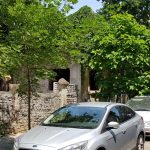 Pache Protopopescu la Traian, cu restaurantele La Conac, Taverna Zorba, Chong Qing