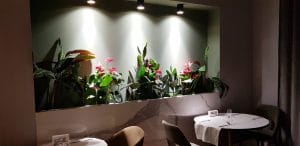 Savart, restaurant cu bucatarie frantuzeasca fina la Biserica Alba