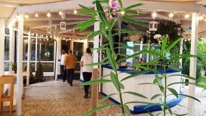 Scoici si Creveti, restaurant grecesc cu fructe de mare, fostul Kos