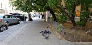 Strada CA Rosetti, cu Hotel Scala si Repertorium Gourmet, Coffee Hub si altele