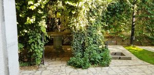 The Vine Bistro, terasa boema in strada Popa Nan din Bucuresti