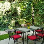 The Vine Bistro, terasa boema in strada Popa Nan din Bucuresti