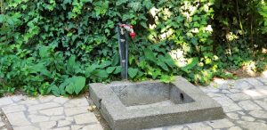 The Vine Bistro, terasa boema in strada Popa Nan din Bucuresti