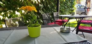 The Vine Bistro, terasa boema in strada Popa Nan din Bucuresti