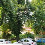 Thomas Masaryk la Ceaunul Crapat, intersectia cu Caragiale