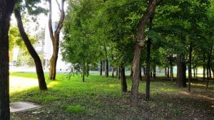 Arcul de Triumf, cu Arc Bakery si restaurantul Il Corso