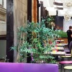 Barrio, restaurant cu terasa la Piata Amzei in Bucuresti