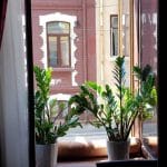 Casa cu Tei, restaurant la Piata Rosetti din Bucuresti