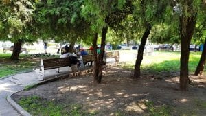 Cotroceni la Biserica Sfantul Elefterie, cu restaurantul Museum, Roland si altele