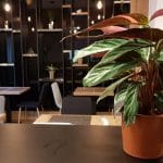 Eclipse, restaurant cu bucatarie internationala in Iancu Capitanu din Bucuresti