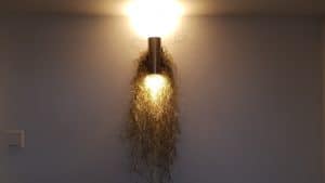 Eclipse, restaurant cu bucatarie internationala in Iancu Capitanu din Bucuresti