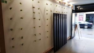 Eclipse, restaurant cu bucatarie internationala in Iancu Capitanu din Bucuresti