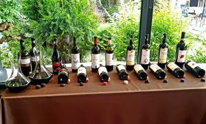 Editia de Primavara a Clubului Privat de VIN-ASR (Bucuresti)