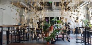 FIX Botanical Bar, cocktail bar la Palatul Universul din Bucuresti