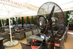 Interviu Restocracy cu Corin Romanescu, CEO al The President