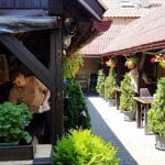 La Senna, fostul restaurant Casa Boema pe Nicolae Caranfil