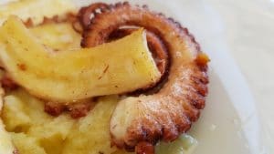 Limo Cuisine & Kayo Summer Club Garden in Herastrau Park Bucharest