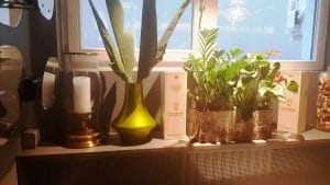 Nido Kitchen & Wine, restaurant in Aleea Alexandru din Bucuresti