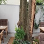 Nido Secret Garden, terasa restaurantului din Aleea Alexandru