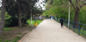 Parcul si Lacul Herastrau la ecluze