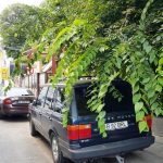 Piata Amzei intre Mendeleev si Christian Tell, cu restaurantul Barrio si Tonka