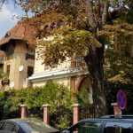 Strada Andrei Muresanu si Piata Vladimir Ghyka, cu restaurantul Zexe
