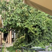 Bistroul Ceai la Vlaicu