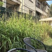 Bistroul Ceai la Vlaicu